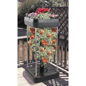 The Upside-down Tomato Garden