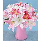 Flowers - Winter Lilies