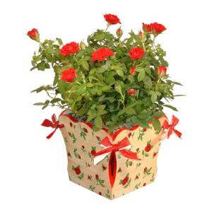 NuDell Red Rose Plant In Matching Rose Patterned Hand Painted Wood Planter