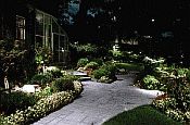 Outdoor Landscape Lighting