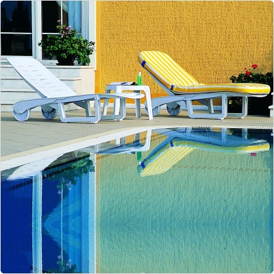 Pool Chaises Set of 2 - Sundance