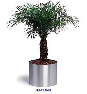 Stainless Steel Planters