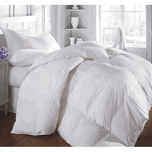 Allusion Hypo-allergenic Comforter