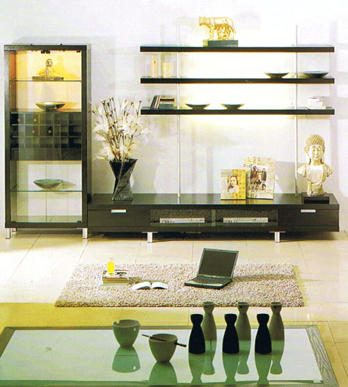 Modern Wall Unit