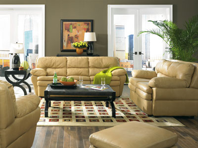 Modern Leather Living Room