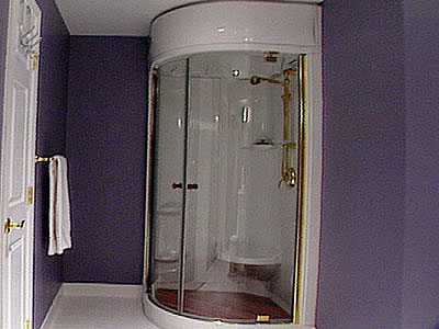 Elegant Master Bathroom Shower