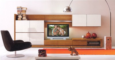 Home Theater System