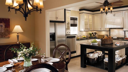 Kitchen and Dining Room Design