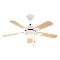 Toronto Ceiling Fan