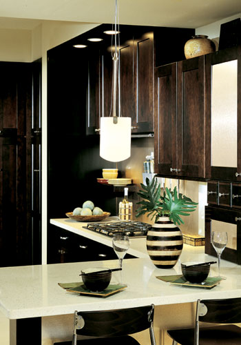 Dark Kitchen Design