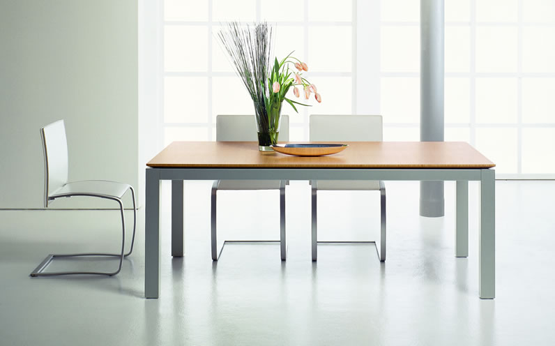 Elegant Dining Room Set