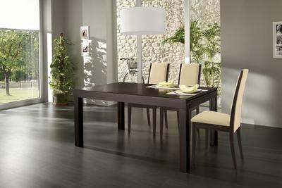 Modern Dining Room Design