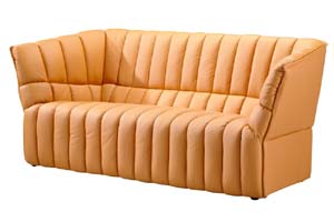 Modern Leather Sofa