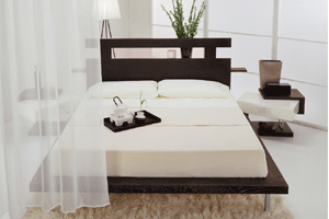Luxurious Platform Bed