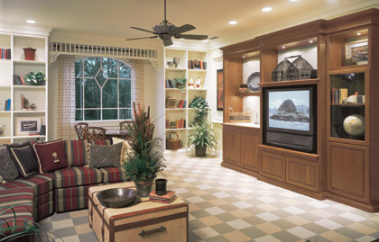 Home Entertainment Center