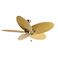 ceiling-fan