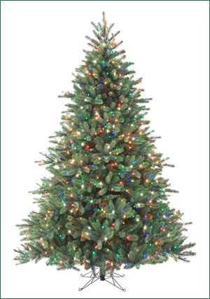 park-lane-fir-with-star