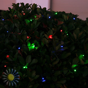 Solar Christmas Light