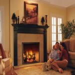 Wood Burning Fireplace 1