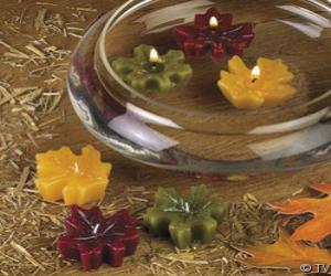 Autumn Leaf Floating Candles