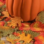 Decorative Fall Leaves Decorative Fall Leaves