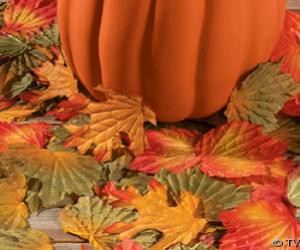 Decorative Fall Leaves