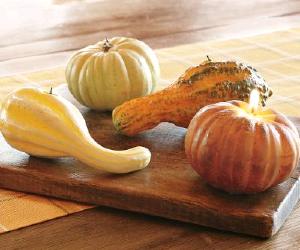 Pumpkin and Gourd Candles