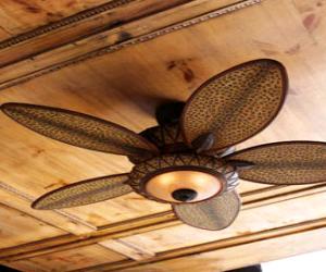 Cheetah Ceiling Fan