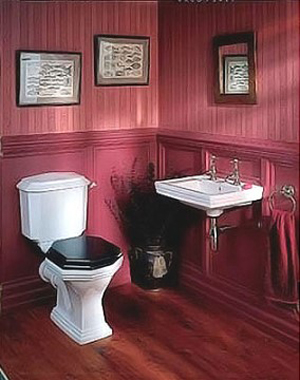 Choosing Bathroom Color2