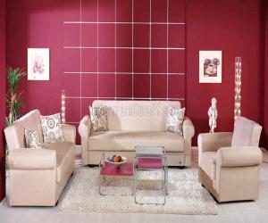 Living Room with Storage Sleeper Sofa