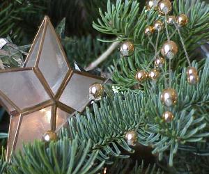 Where to Place the Christmas Tree