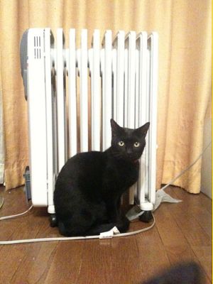 Home Heating Tips
