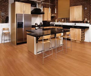 Laminate Flooring