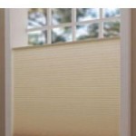 Blinds Blinds