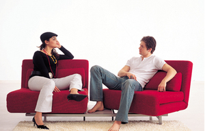 Contemporary Sofa Bed