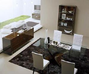 Unique Plexiglass Dining Set