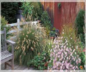 Ornamental Grass Garden