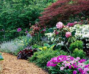 Pink Springtime Garden Plan