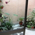 indoor-gardening