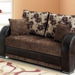 Elegant Sleeper Sofa Bed