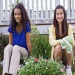 An Indoor Greenhouse Is A Great Idea For Any Home