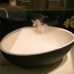 Comfortable Black Tub