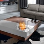The Fire In the Interior