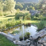 Mini-Pond: Decoration of Solitude Corner Mini-Pond: Decoration of Solitude Corner