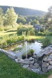 Mini-Pond: Decoration of Solitude Corner  