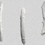 Decorative Items: Plastic Jungle