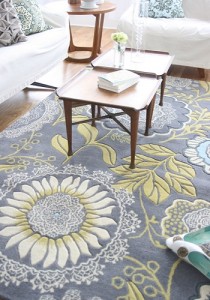 Carpets by Amu Batler 