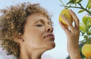 Outdoor Design with Lemon Tree