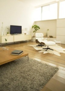 One-Room Apartment Interior: Certain Advantages
