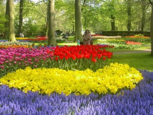 Color Combinations in Garden 